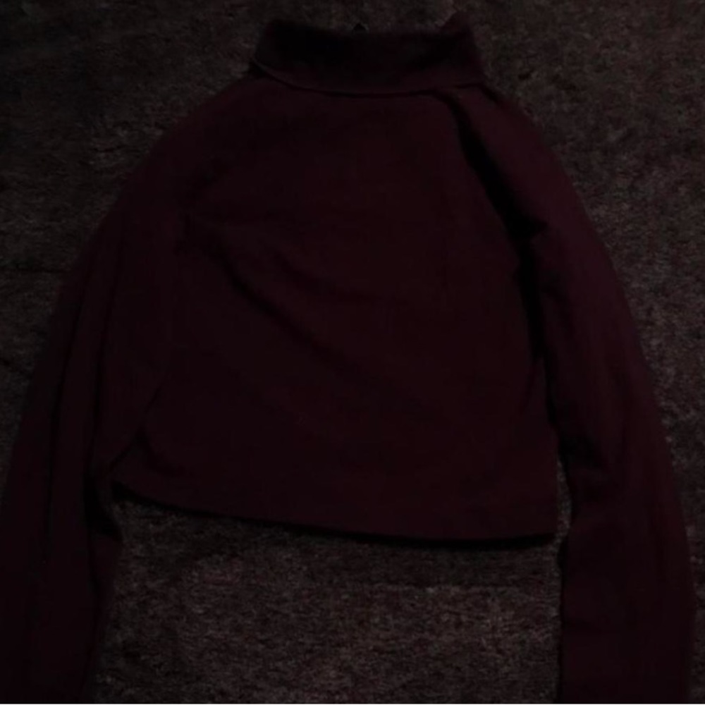 Burgundy turtle neck
